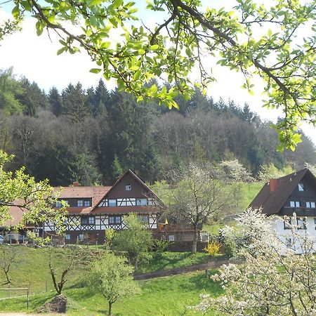 Ferienhof Fischer Seebach Ngoại thất bức ảnh