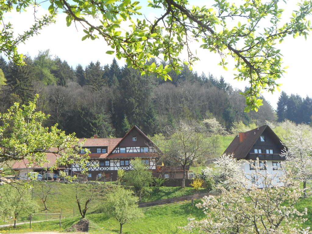 Ferienhof Fischer Seebach Ngoại thất bức ảnh